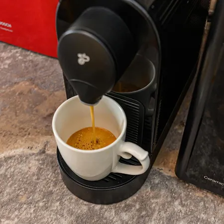 Evergreen Escape Coresi * Braşov